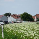 7-4_PHW_DSC0136 (5).JPG