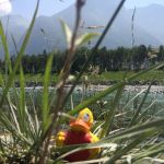 Foto 11.06.15 12 37 57_klein.jpg