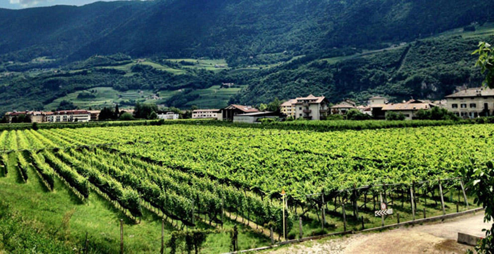 IMG 0977.2015-06-09 092154 klein