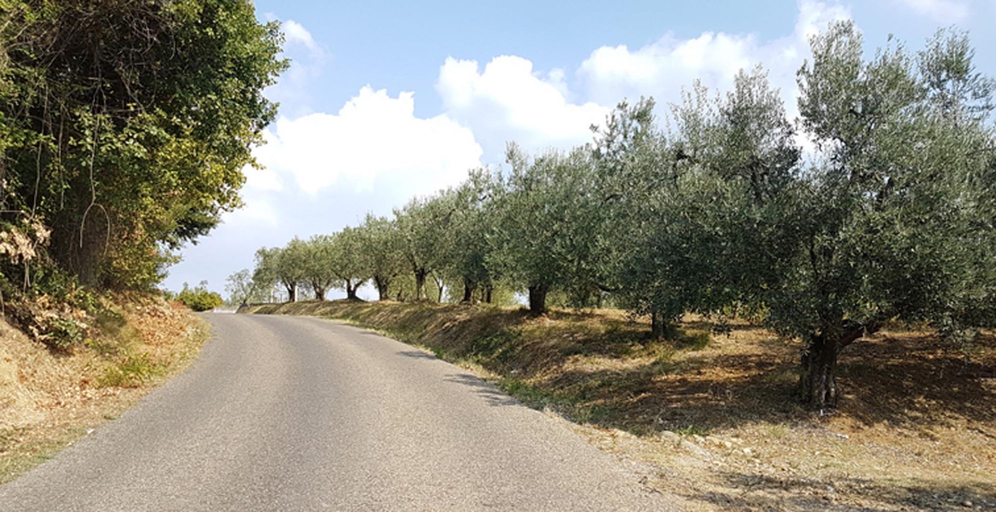 20160909 151837 klein