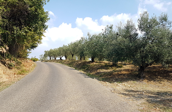 20160909 151837 klein