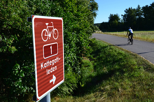 1 PHW 38071836 1918825091517938 1155903766688432128 o 10cm